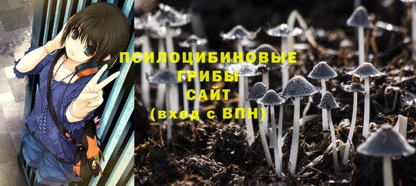 эйфоретик Абаза