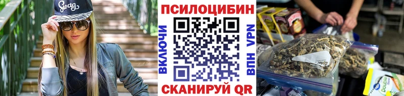 Псилоцибиновые грибы Psilocybe  Усолье-Сибирское 