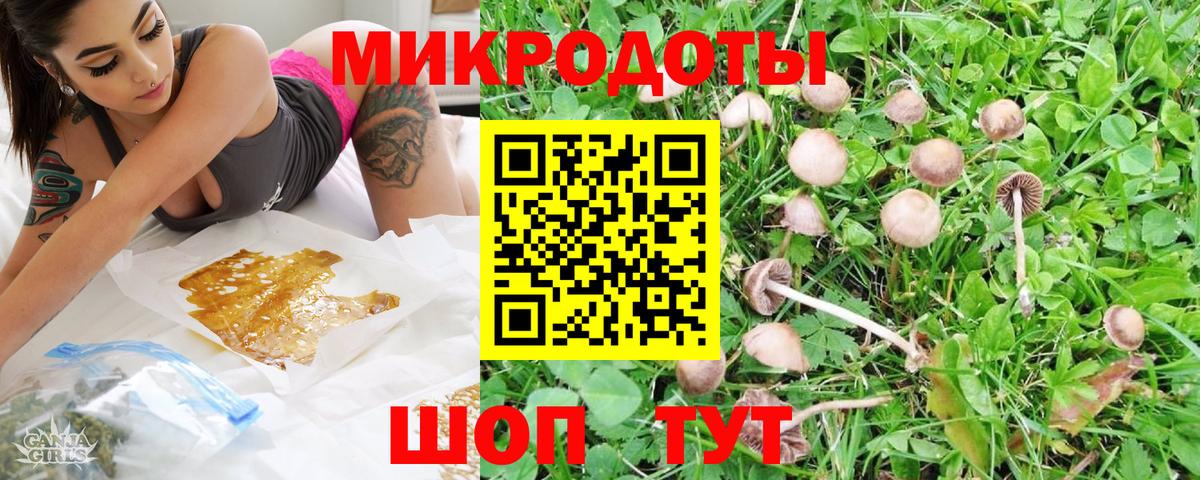 Галлюциногенные грибы прущие грибы  Вход с VPN  Усолье-Сибирское  даркнет сайт  Псилоцибиновые грибы Psilocybe 